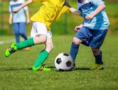 双色球,期秘籍揭晓,独中靶心,上海体彩,上海体彩网,上海体彩网官网,体育彩票,体彩大乐透,竞彩足球,体彩公益