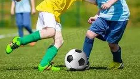 上海体彩网 资讯 102554 q99