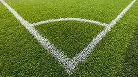 【勇闯生肖宝盒】2026013期体彩大乐透生肖彩选：02、10、11生肖惊喜揭晓！