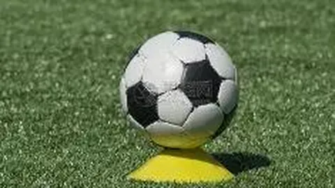 【独门秘籍大公开】26014期大乐透精准杀号预测，必中“黄金五胆”：12、13、23、33、34！揭秘中奖秘诀！