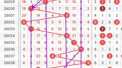 【仙彩解码】26033期3D独胆出击：一注必中，揭秘绝杀号！🎯✨