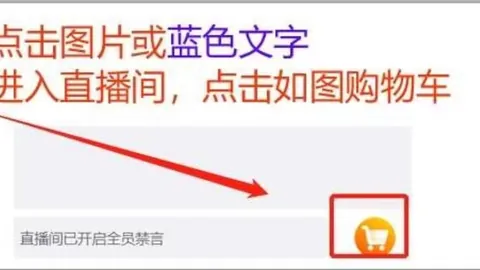 上海体彩网